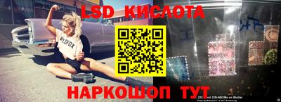 прущие грибы Малоярославец
