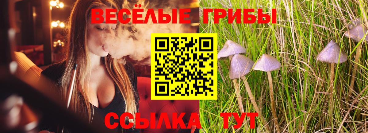 Галлюциногенные грибы MAGIC MUSHROOMS Топки